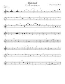 Partition ténor viole de gambe 1, octave aigu clef, O verde amena aprica