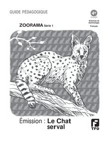 Émission : Le Chat serval