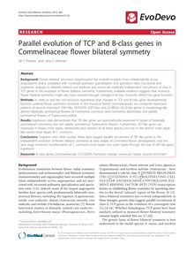 Parallel evolution of TCP and B-class genes in Commelinaceae flower bilateral symmetry