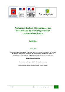 Analyses de cycle de vie appliquées aux biocarburants de première génération consommés en France (BIO Intelligence Service). : Synthese