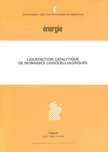 Catalytic liquefaction of wood material