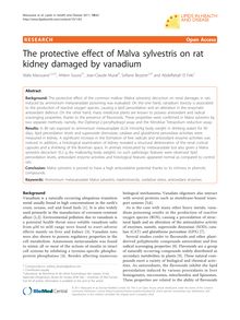 The protective effect of Malva sylvestris on rat kidney damaged by vanadium