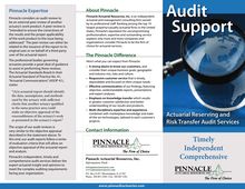 Audit Support Services - Pinnacle Actuarial Resources, Inc.