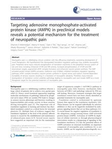Targeting adenosine monophosphate-activated protein kinase (AMPK) in preclinical models reveals a potential mechanism for the treatment of neuropathic pain
