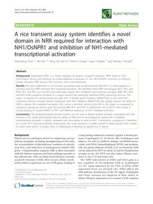 A rice transient assay system identifies a novel domain in NRR required for interaction with NH1/OsNPR1 and inhibition of NH1-mediated transcriptional activation