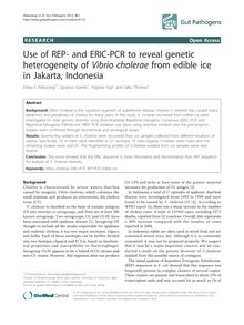 Use of REP- and ERIC-PCR to reveal genetic heterogeneity of Vibrio choleraefrom edible ice in Jakarta, Indonesia