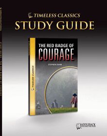 Red Badge of Courage Novel Study Guide