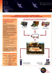 CONTROL OF CLASSICAL SWINE FEVER BY MOLECULAR DIAGNOSIS AND EPIDEMIOLOGY