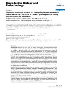 Testicular involution prior to sex change in gilthead seabream is characterized by a decrease in DMRT1 gene expression and by massive leukocyte infiltration