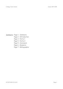 Sommaire : Page 1 : Sommaire Page 2 : Introduction Page 3 : Partie ...