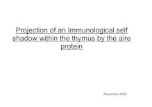 Projection of an Immunological self shadow within the thymus by the aire