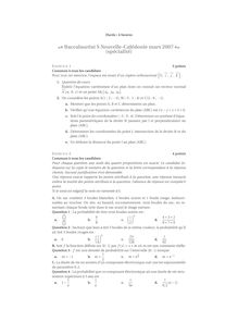 Bac mathematiques specialite 2007 s