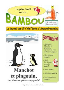 (BAMBOU N°1 PAGE 2)