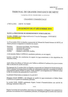 Jugement : liquidation de l entreprise de Ludovic Mendes