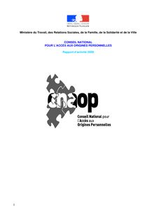 Rapport d activité 2009 du Conseil national pour l accès aux origines personnelles