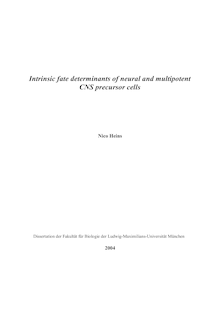 Intrinsic fate determinants of neural and multipotent CNS precursor cells [Elektronische Ressource] / Nico Heins