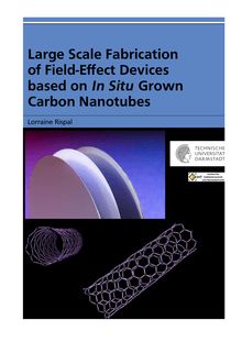 Large scale fabrication of field-effect devices based on in situ grown carbon nanotubes [Elektronische Ressource] / von Lorraine Rispal