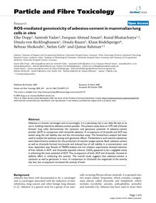 ROS-mediated genotoxicity of asbestos-cement in mammalian lung cells in vitro