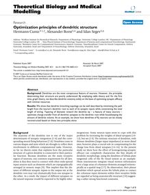 Optimization principles of dendritic structure