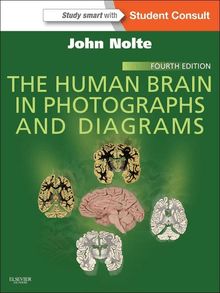 The Human Brain in Photographs and Diagrams E-Book