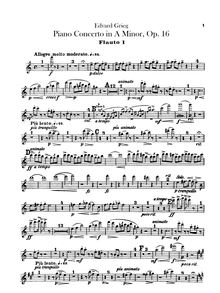 Partition flûte 1, 2/Piccolo, Piano Concerto en A minor, Op.16, Grieg, Edvard