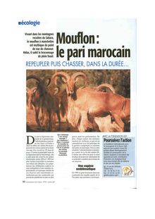 Connaissance de la chasse 2007 : Mouflon le pari marocain