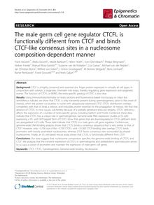 The male germ cell gene regulator CTCFL is functionally different from CTCF and binds CTCF-like consensus sites in a nucleosome composition-dependent manner