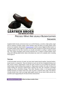 Precisely What Are usually Blown Leather Sneakers