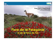Flore de la Patagonie