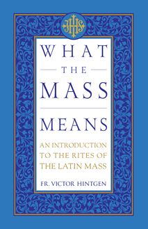 What the Mass Means