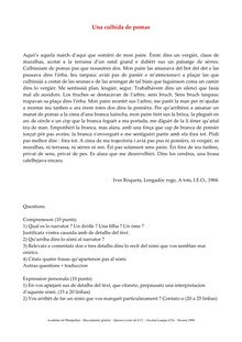 Occitan - Langue d Oc (Languedocien) LV2 2000 Littéraire Baccalauréat général