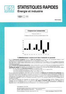 STATISTIQUES RAPIDES Énergie et industrie. 1991 11