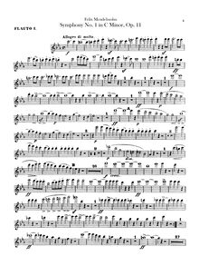 Partition flûte 1, 2, Symphony No.1 en C minor, Sinfonia XIII, C minor