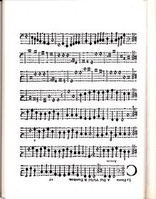 Partition Continuo, Il Terzo Libro delle Divine Lodi Musicali, Riccio, Giovanni Battista