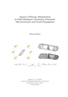 Aspects of energy minimization in solid mechanics [Elektronische Ressource] : evolution of inelastic microstructures and brittle crack propagation / vorgelegt von Ercan Gürses