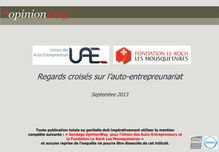  Observatoire des Auto Entrepreneurs (Octobre 2013) 
