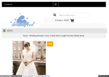 Ivory V Neck Plus Size Bridal Dress