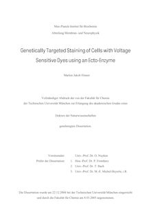 Genetically targeted staining of cells with voltage sensitive dyes using an ecto-enzyme [Elektronische Ressource] / Marlon Jakob Hinner