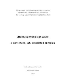 Structural studies on ASAP, a conserved, EJC-associated complex [Elektronische Ressource] / Andrea Giovanni Murachelli. Betreuer: Elena Conti