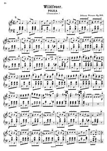Partition Transcription pour piano solo - complete, Wildfeuer, Op.313