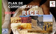 Travail académique: Plan de communication NDOP Rice