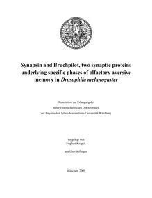 Synapsin and Bruchpilot, two synaptic proteins underlying specific phases of olfactory aversive memory in Drosophila melanogaster [Elektronische Ressource] / vorgelegt von Stephan Knapek