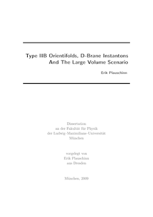 Type IIB orientifolds, D-brane instantons and the large volume scenario [Elektronische Ressource] / vorgelegt von Erik Plauschinn