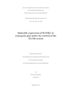 Inducible expression of RANKL in transgenic pigs under the control of the Tet-On system [Elektronische Ressource] / von Eleonore Schilling