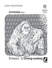 Émission : L Orang-outang