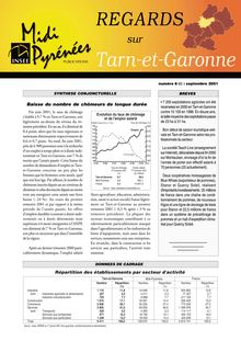 L industrie en Tarn-et-Garonne : Regards n°6