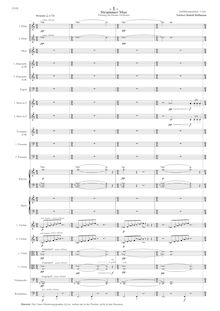 Partition complète, Strammer Max, Fassung für kleines Orchester