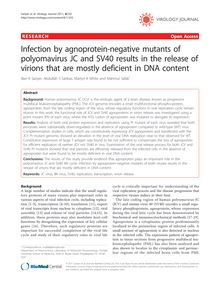 Infection by agnoprotein-negative mutants of polyomavirus JC and SV40 results in the release of virions that are mostly deficient in DNA content