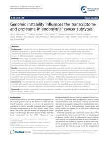 Genomic instability influences the transcriptome and proteome in endometrial cancer subtypes
