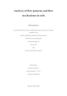 Analysis of flow patterns and flow mechanisms in soils